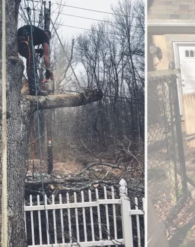 Top-rated landscape design with custom design in Upper Saddle River, NJ by Ces Tree Service and Landscaping