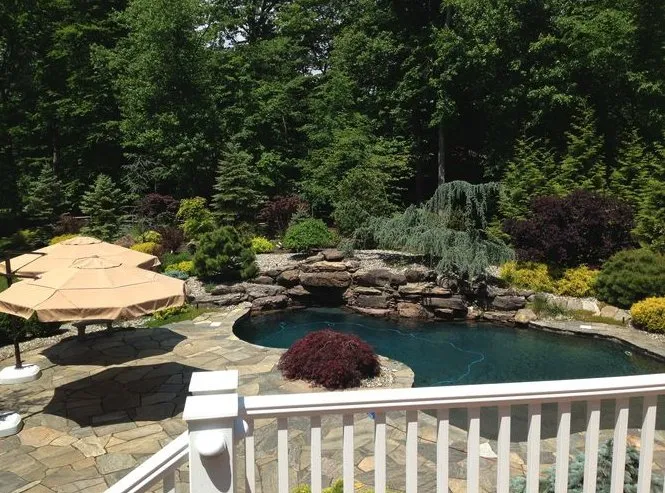 Professional yard cleanup service for year-round maintenance in Upper Saddle River, NJ by Ces Tree Service and Landscaping