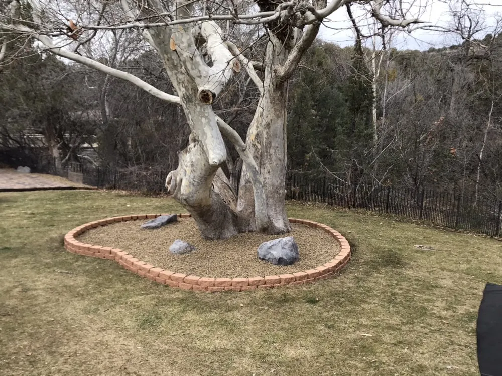 Professional residential landscaping for residential properties in Camp Verde, AZ by Cesar & Son's Landscaping