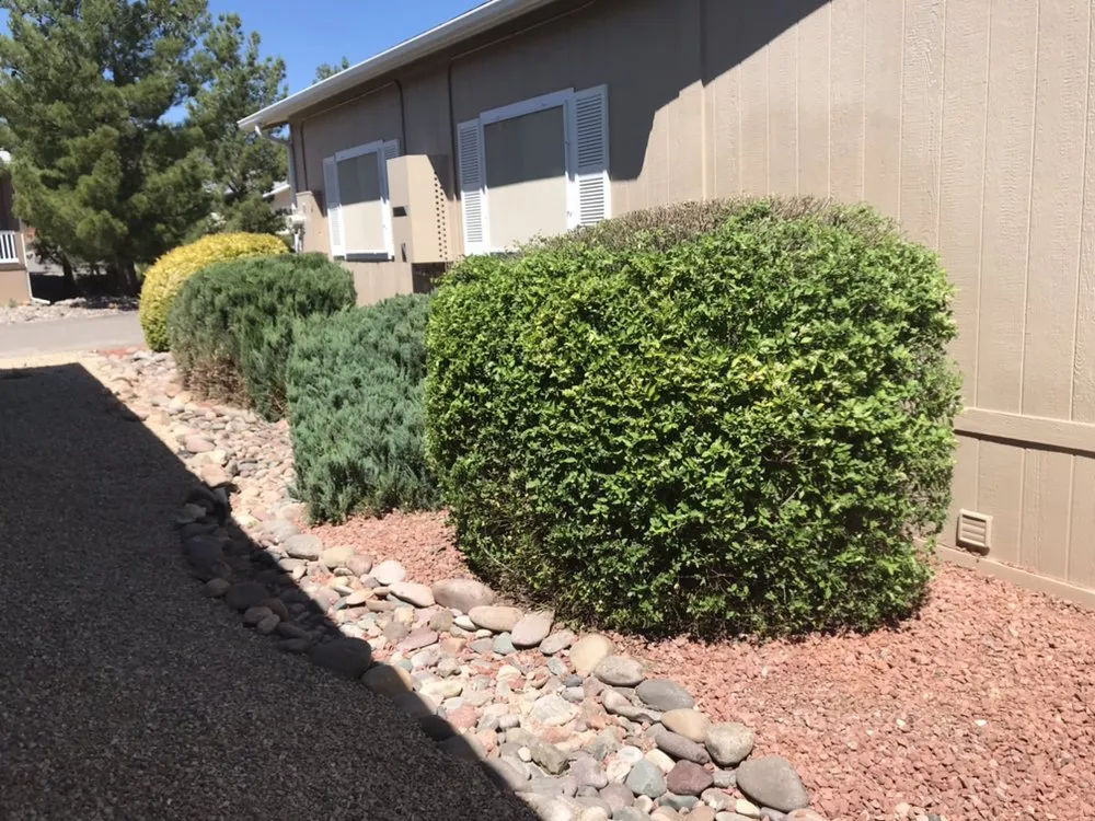 Custom yard maintenance for outdoor upgrades across Camp Verde, AZ - Cesar & Son's Landscaping