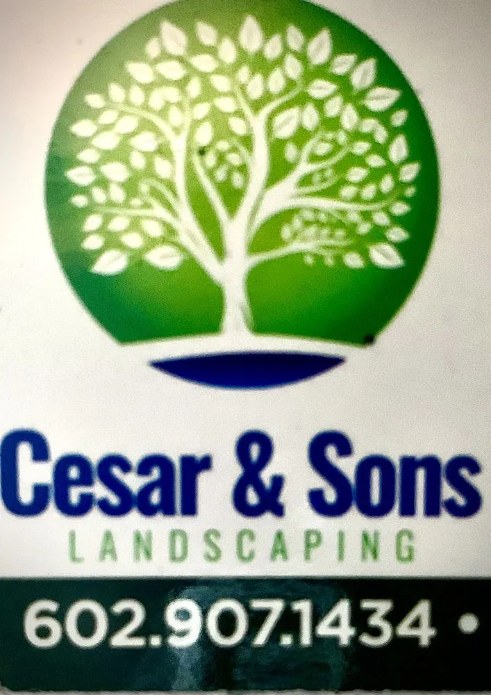 Professional yard cleanup service in Tempe, AZ - Cesar and Sons Landscaping