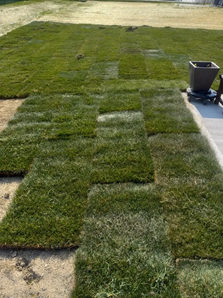 Custom landscape design experts serving Indianapolis, IN - Cesar Design & Landscape