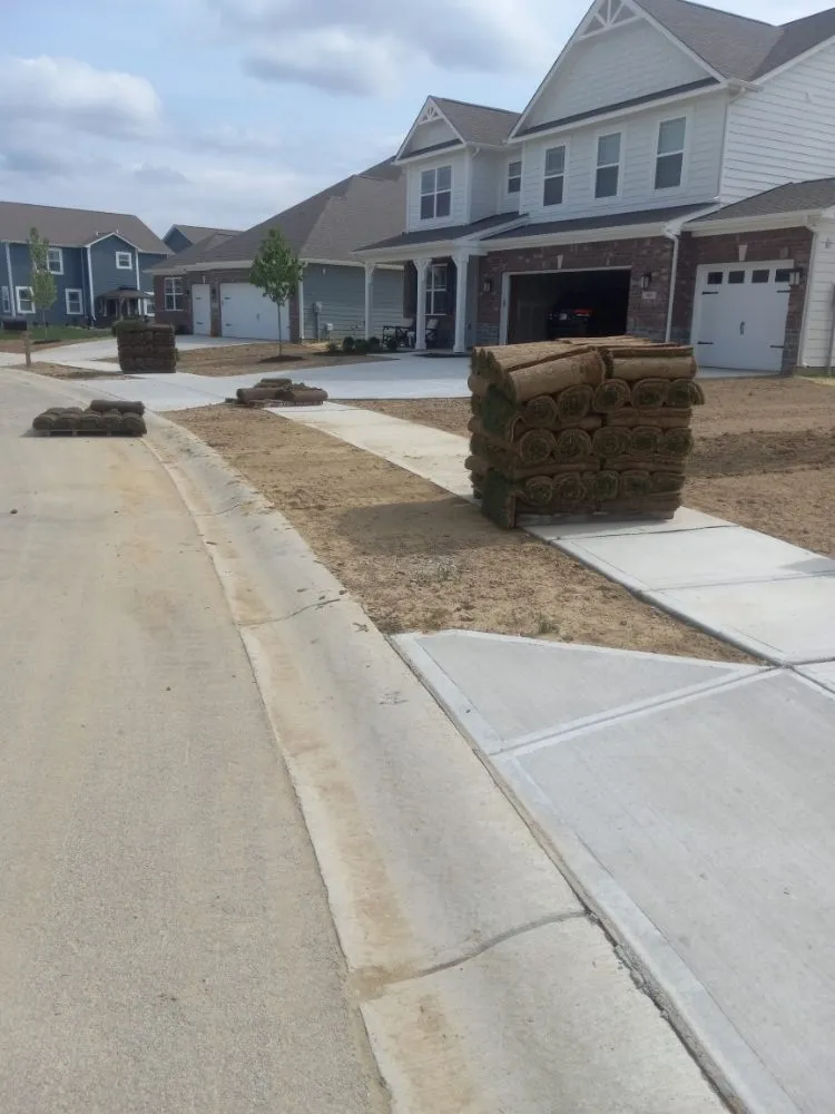 Trusted yard cleanup service in Indianapolis, IN by Cesar Design & Landscape