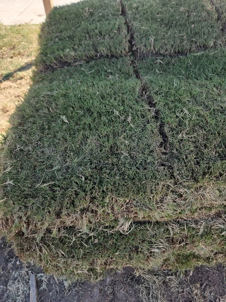 Affordable landscaping services experts serving Indianapolis, IN - Cesar Design & Landscape