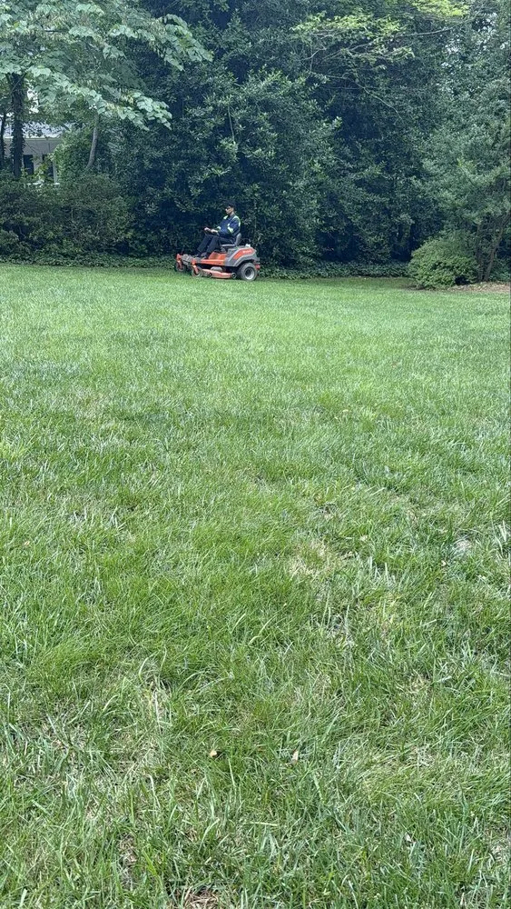 Professional landscape installation for beautiful yards across Winston-Salem, NC - Cesar J Toledo