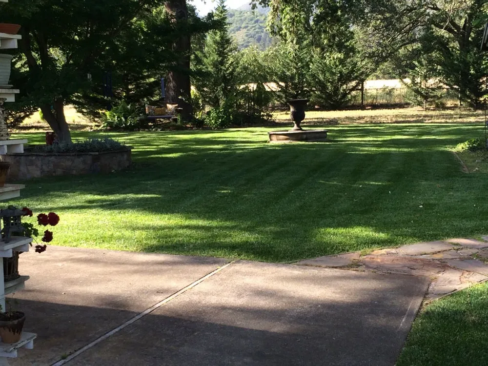 Reliable yard cleanup service near you across Sonoma, CA - Cesar Jauregui Landscaping Maintenance