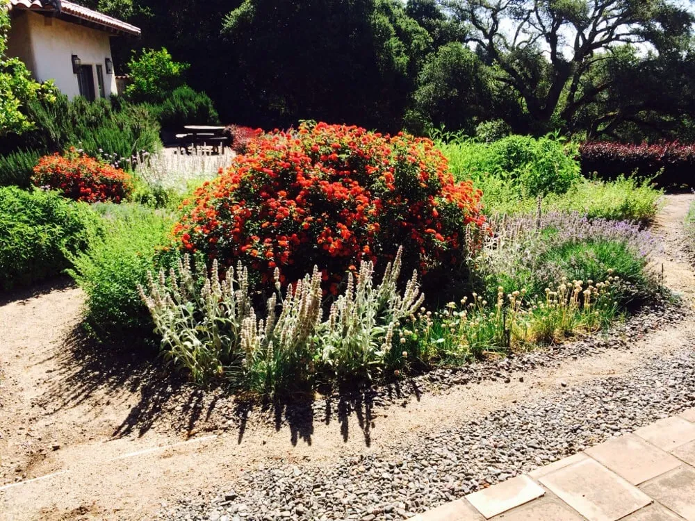 Expert landscaping services with custom design in Sonoma, CA by Cesar Jauregui Landscaping Maintenance