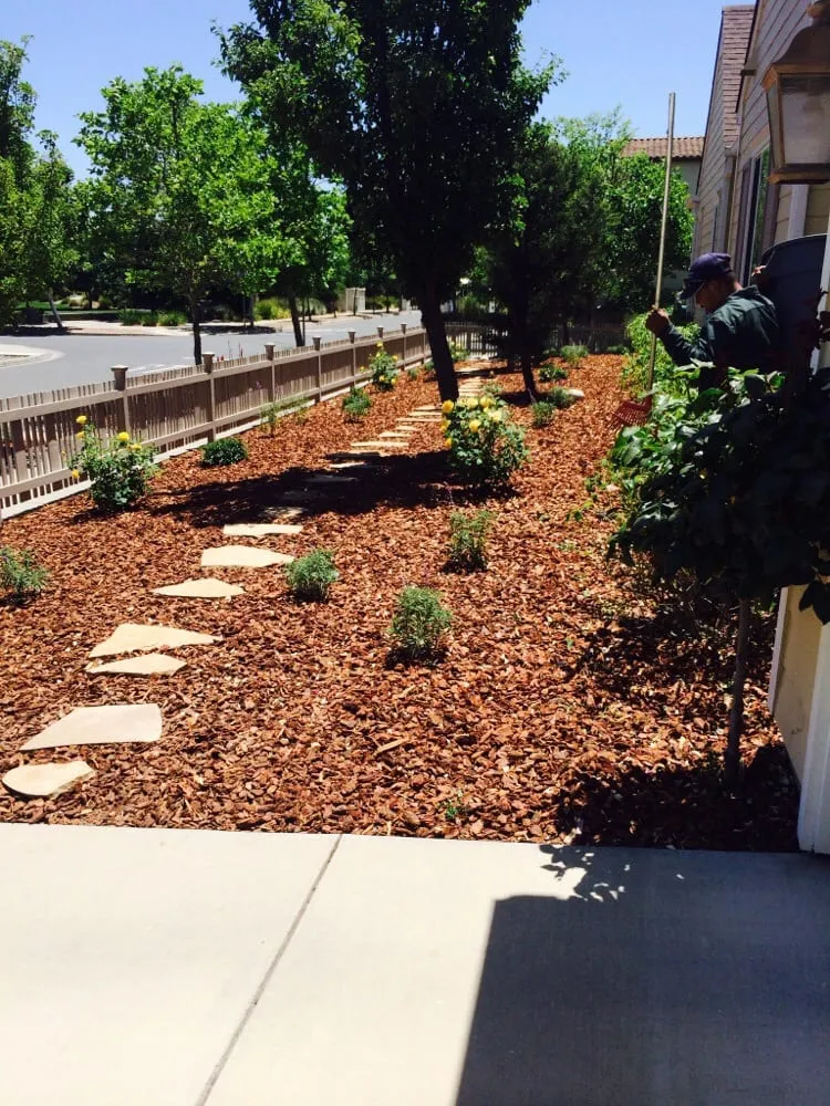 Expert yard maintenance for beautiful yards across Sonoma, CA - Cesar Jauregui Landscaping Maintenance