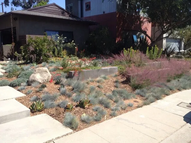 Custom landscaping services in Sonoma, CA - Cesar Jauregui Landscaping Maintenance