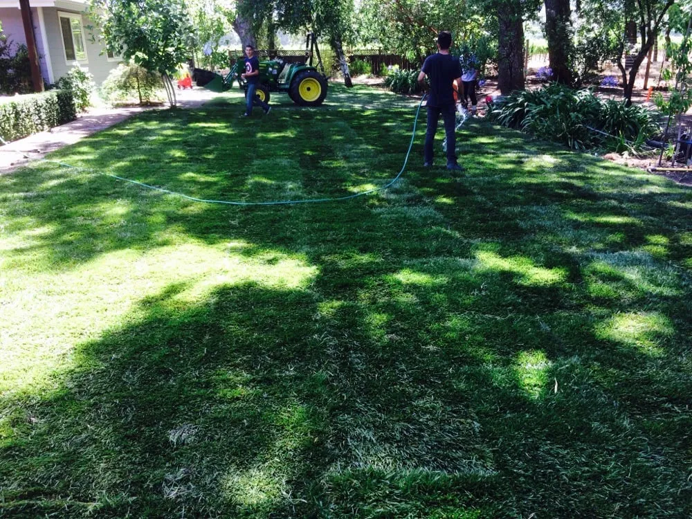 Trusted yard maintenance experts serving Sonoma, CA - Cesar Jauregui Landscaping Maintenance