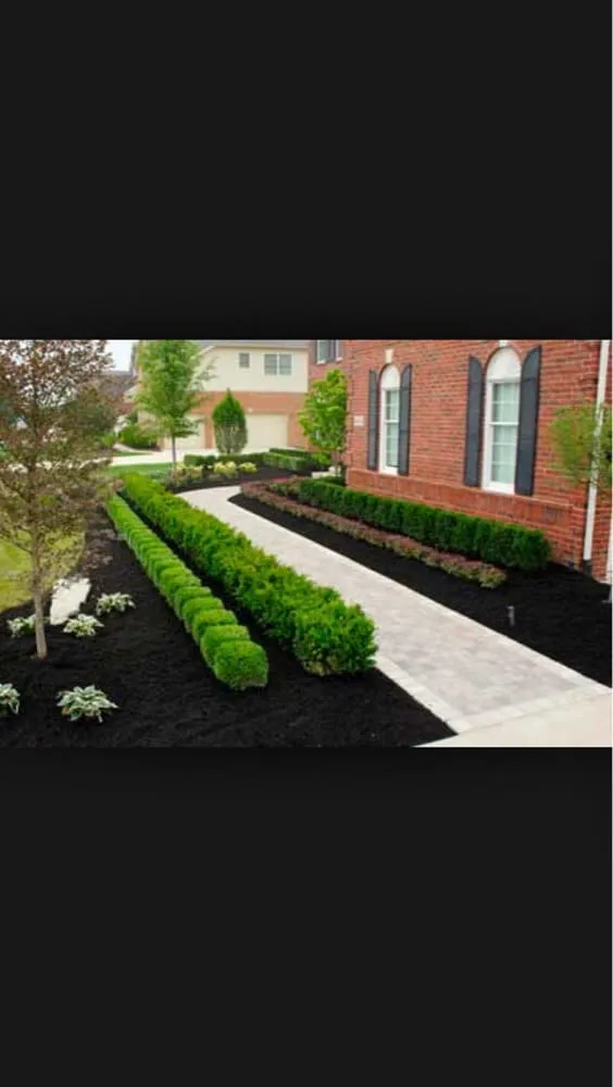 Top-rated garden landscaping in Sonoma, CA - Cesar Jauregui Landscaping Maintenance