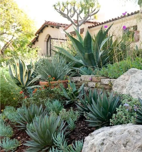 Trusted landscape design experts serving Sonoma, CA - Cesar Jauregui Landscaping Maintenance