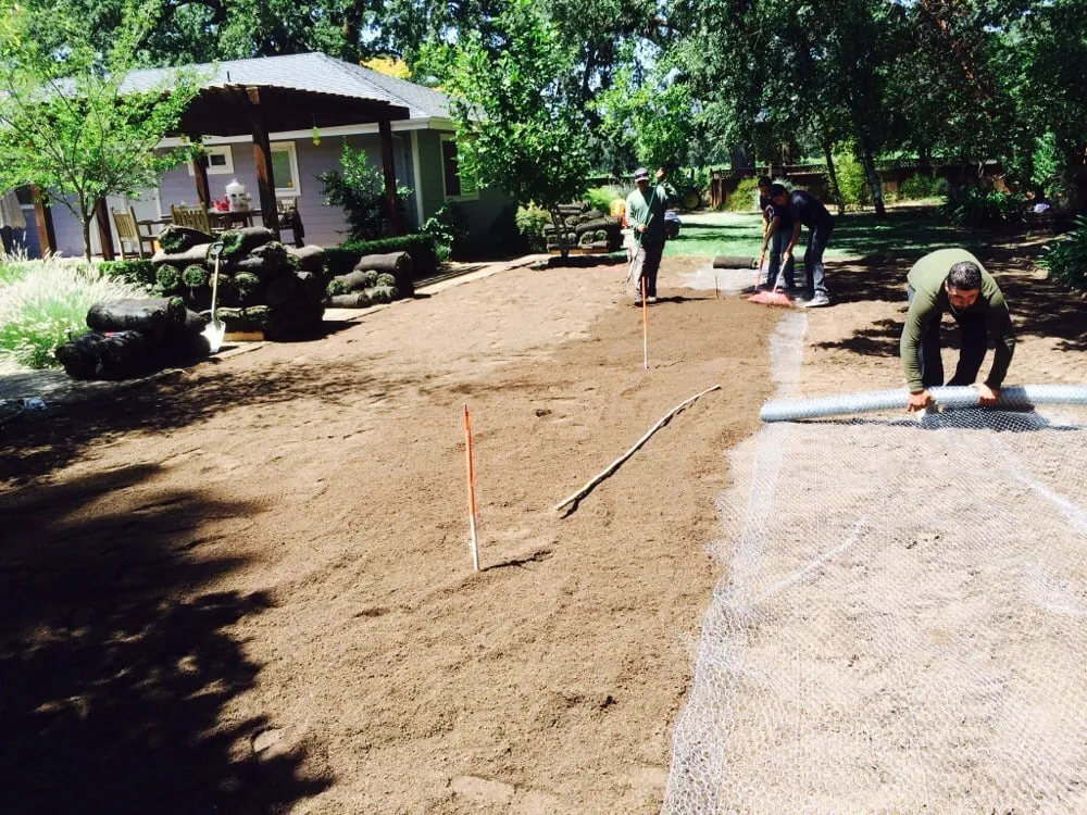 Custom yard maintenance in Sonoma, CA by Cesar Jauregui Landscaping Maintenance