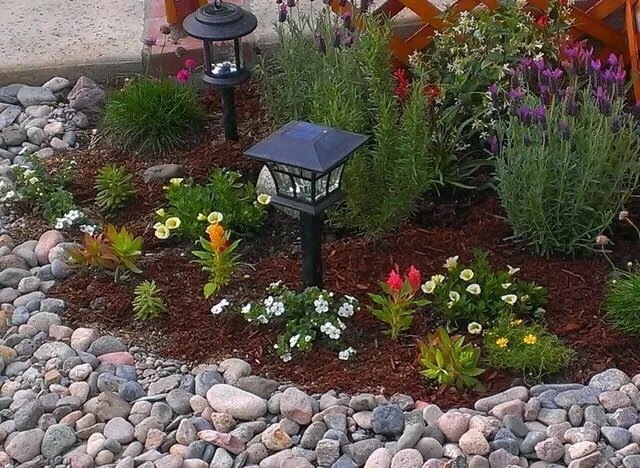 Expert yard cleanup service in Sonoma, CA by Cesar Jauregui Landscaping Maintenance