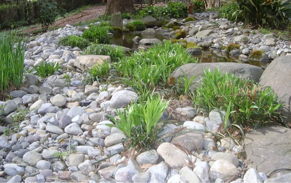 Expert yard maintenance in Sonoma, CA - Cesar Jauregui Landscaping Maintenance