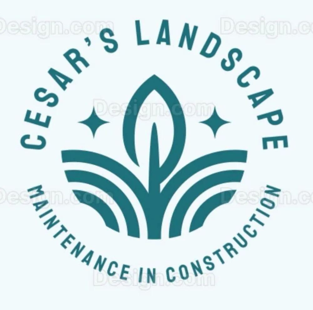 Local garden landscaping in San Rafael, CA by Cesar Landscape