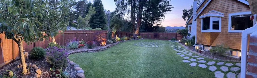 Top-rated lawn care service in San Rafael, CA by Cesar Landscape