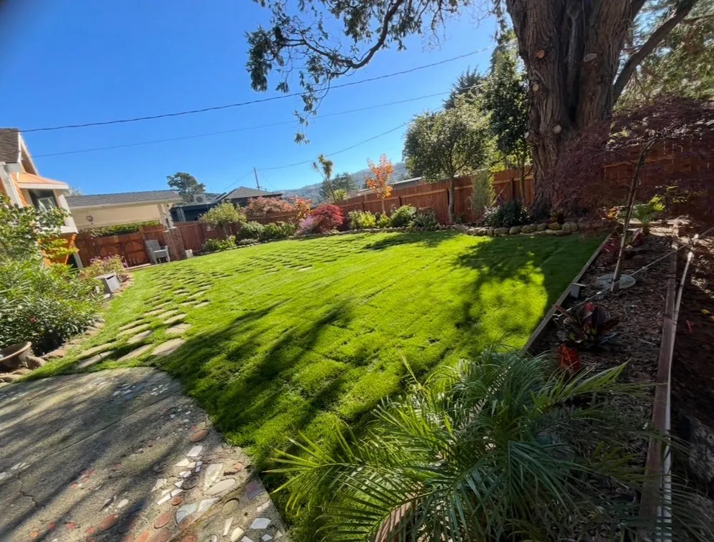 Top-rated landscape design in San Rafael, CA by Cesar Landscape