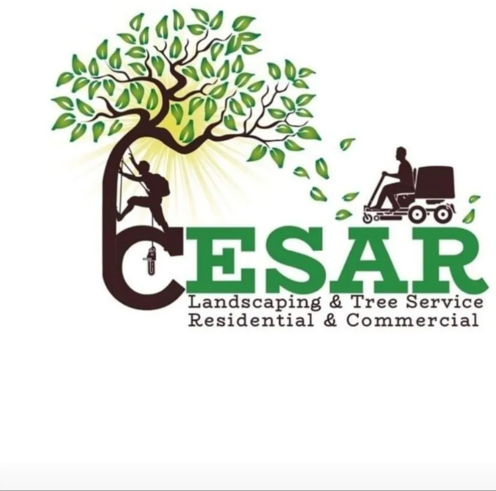 Reliable landscape design for year-round maintenance across Winder, GA - Cesar Landscaping And Tree Services