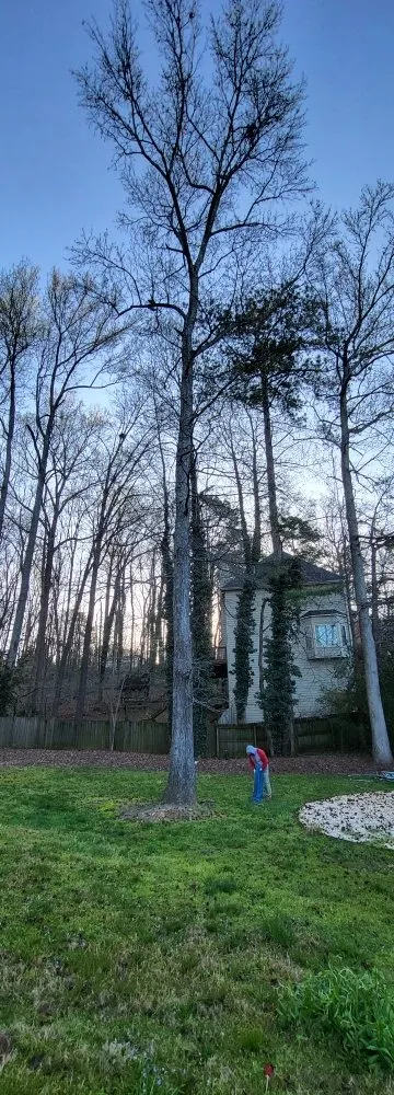 Expert landscape installation in Winder, GA - Cesar Landscaping And Tree Services