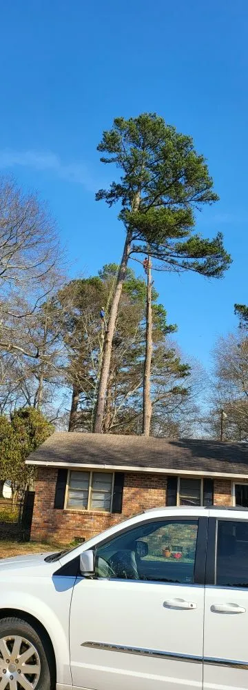 Trusted landscaping services near you in Winder, GA by Cesar Landscaping And Tree Services