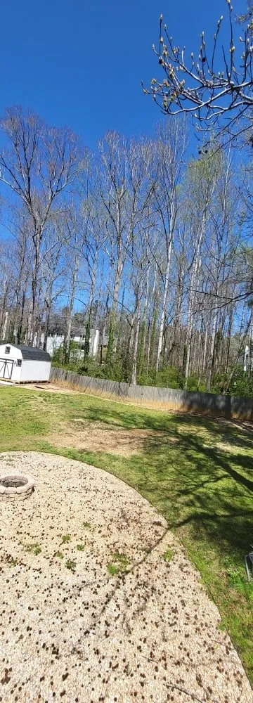 Expert outdoor landscaping for beautiful yards across Winder, GA - Cesar Landscaping And Tree Services