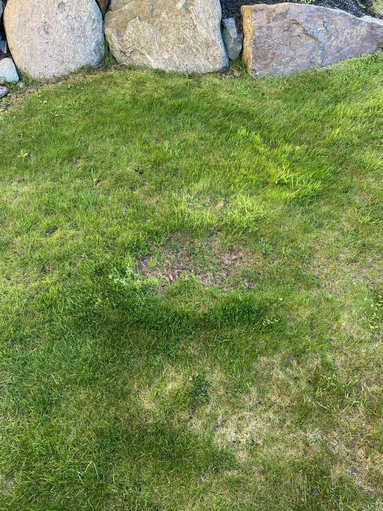 Top-rated landscape installation in Marlborough, MA by Cesar Landscaping