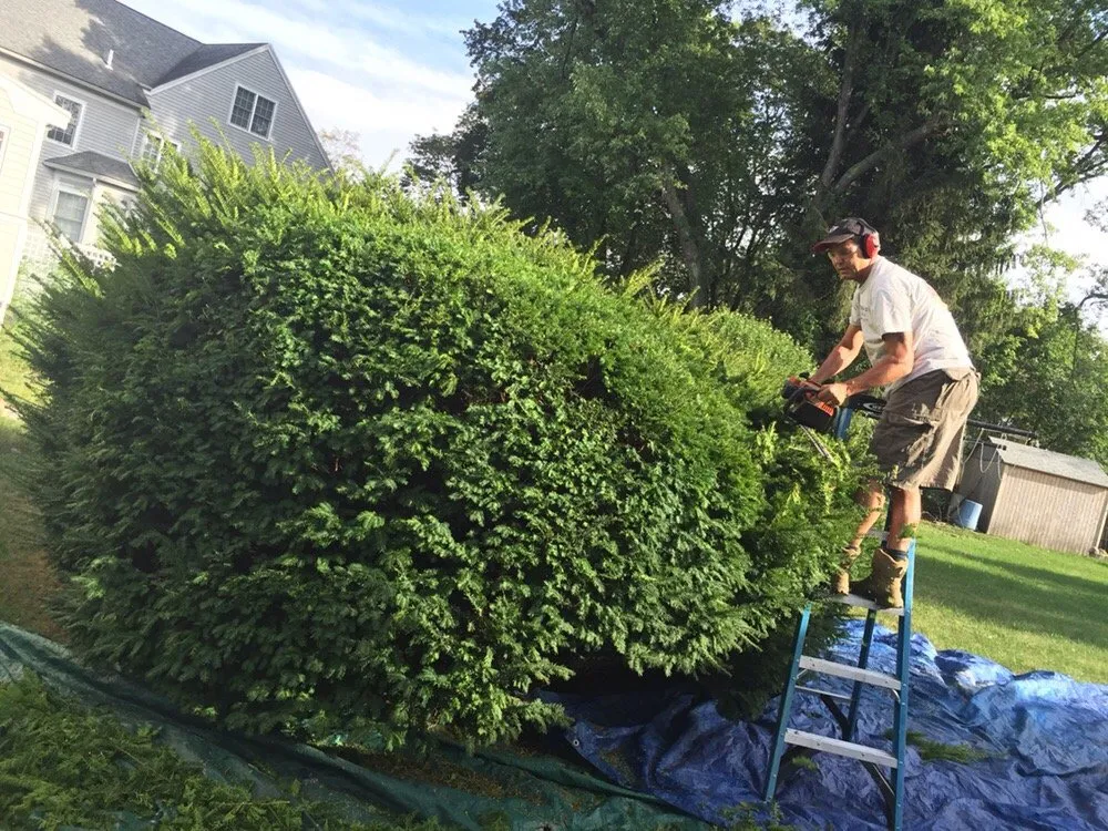 Expert landscape installation experts serving Marlborough, MA - Cesar Landscaping