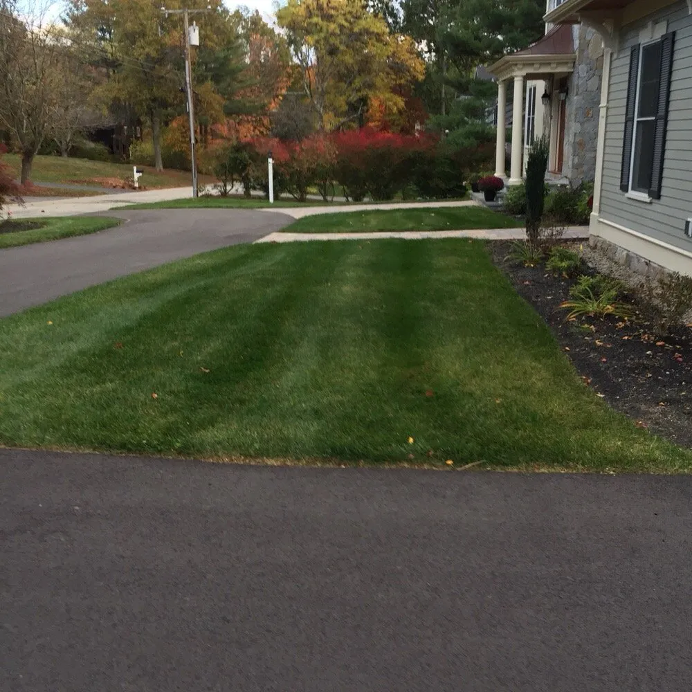 Professional yard maintenance in Marlborough, MA - Cesar Landscaping