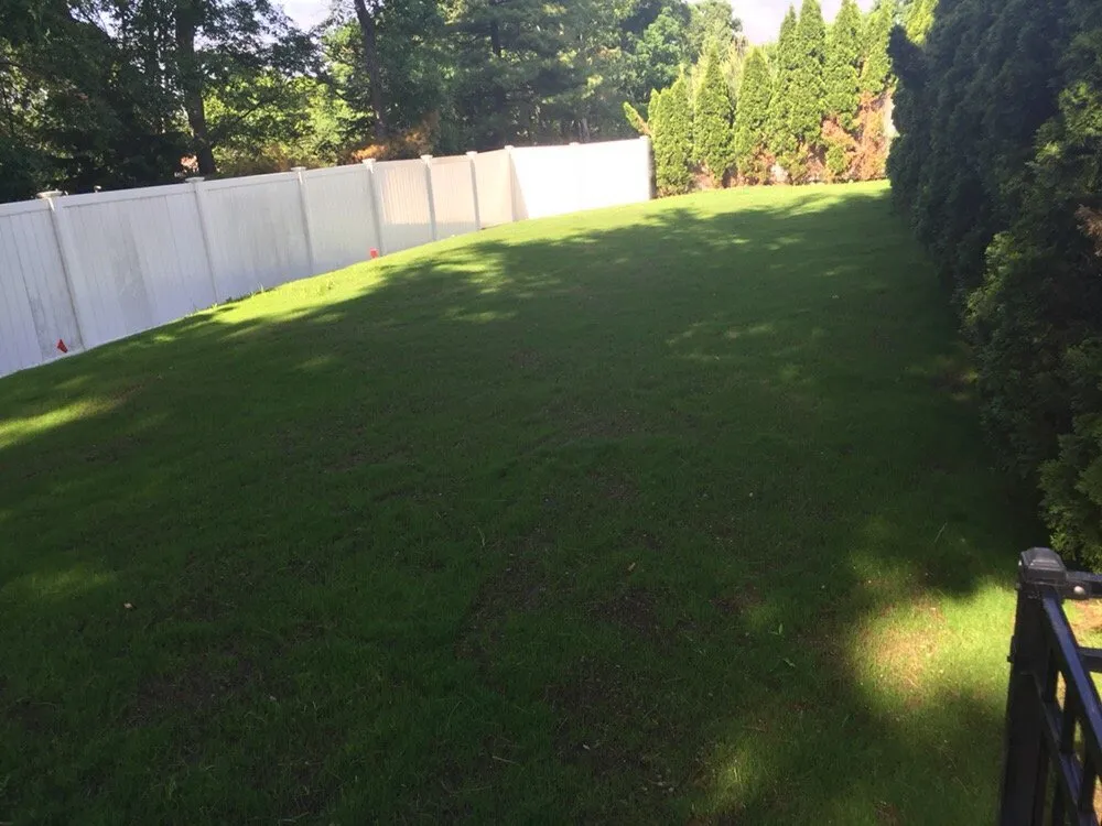 Local landscaping services for beautiful yards across Marlborough, MA - Cesar Landscaping