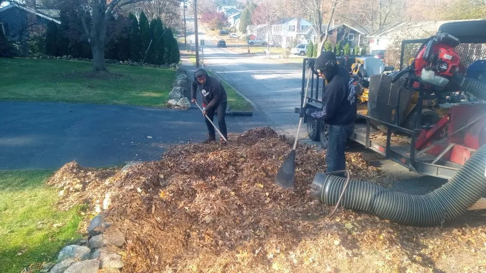 Reliable yard cleanup service for residential properties in Marlborough, MA by Cesar Landscaping