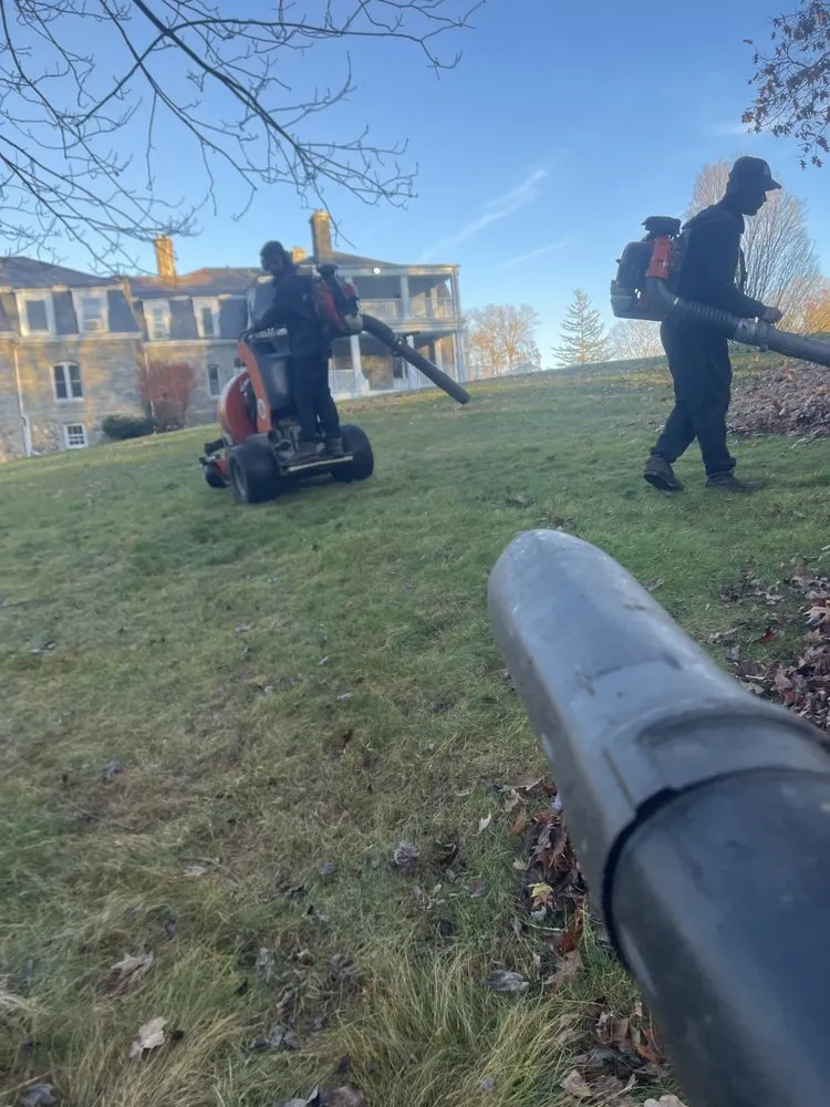 Professional landscaping services in Marlborough, MA - Cesar Landscaping