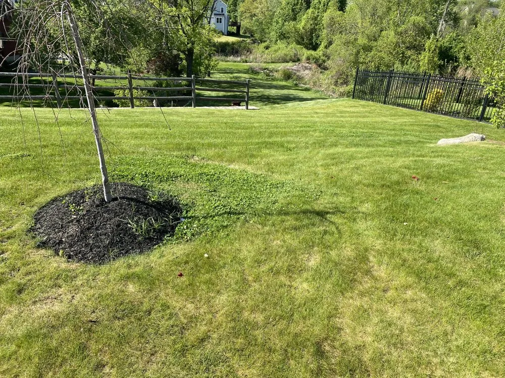 Expert landscaping services experts serving Marlborough, MA - Cesar Landscaping
