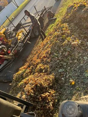 Cesar Landscaping Logo