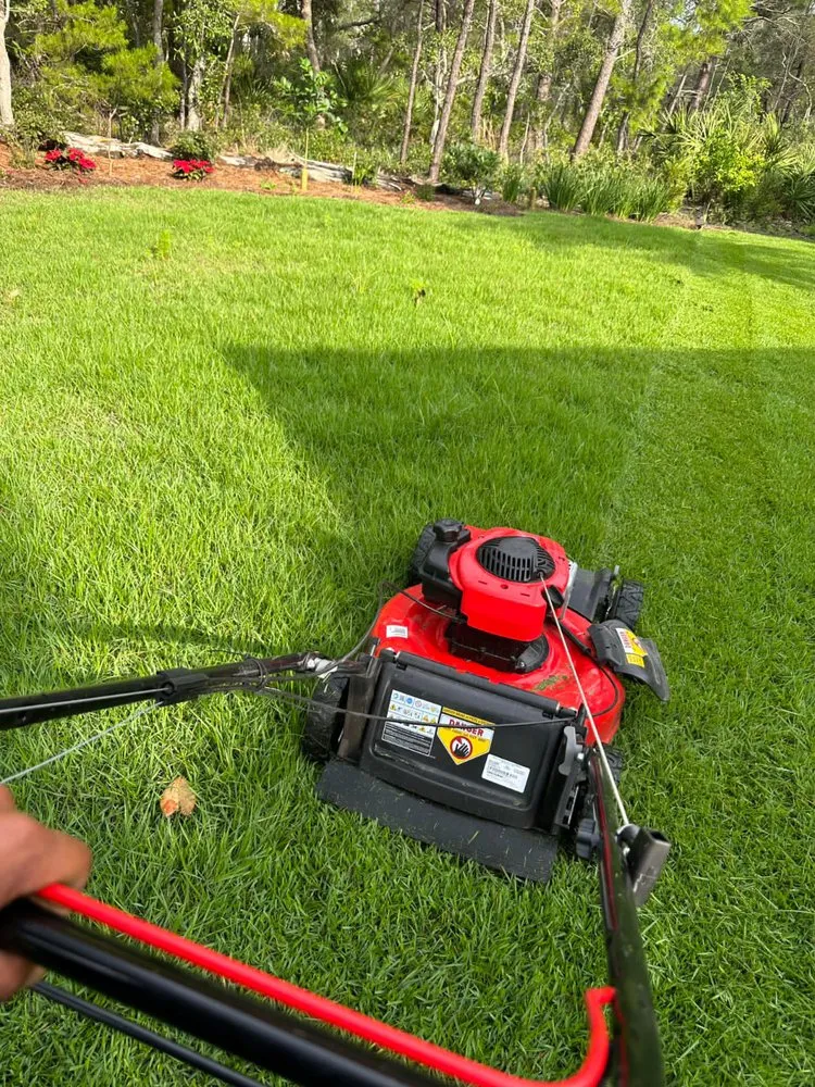 Top-rated yard maintenance in Carmel, IN - Cesar Lawn & Tree