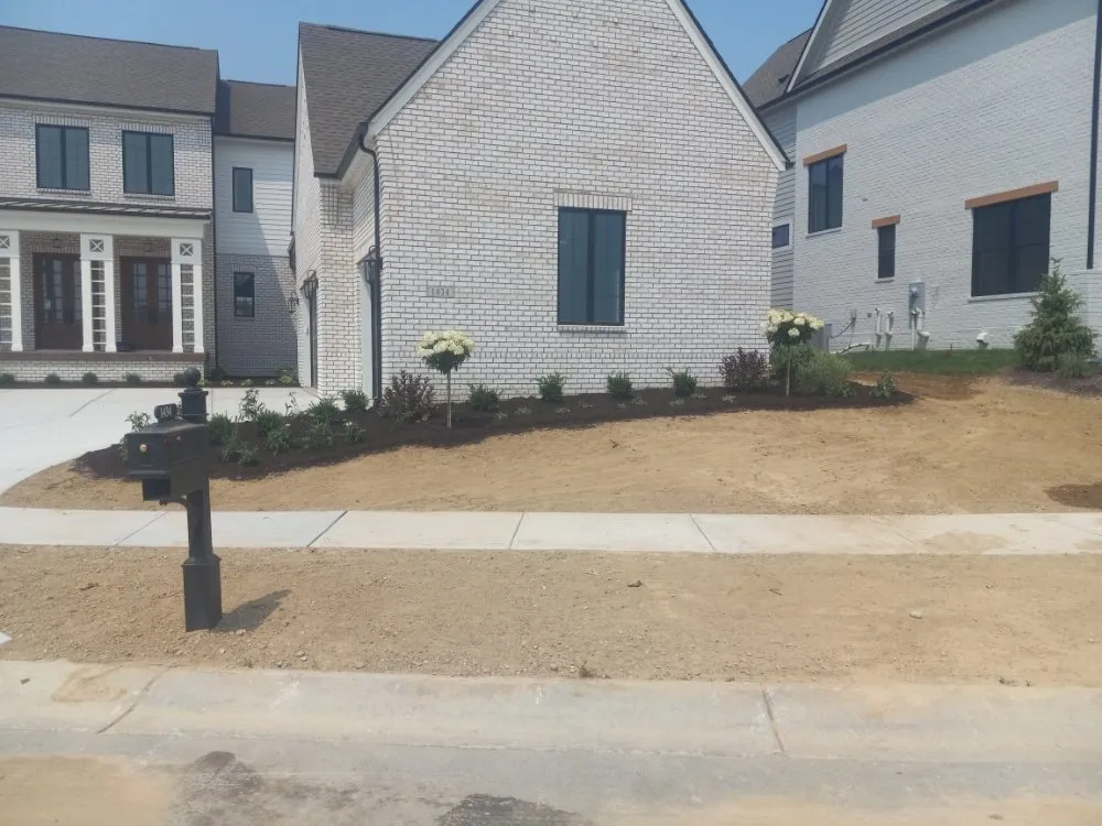 Expert outdoor landscaping experts serving Carmel, IN - Cesar Lawn & Tree