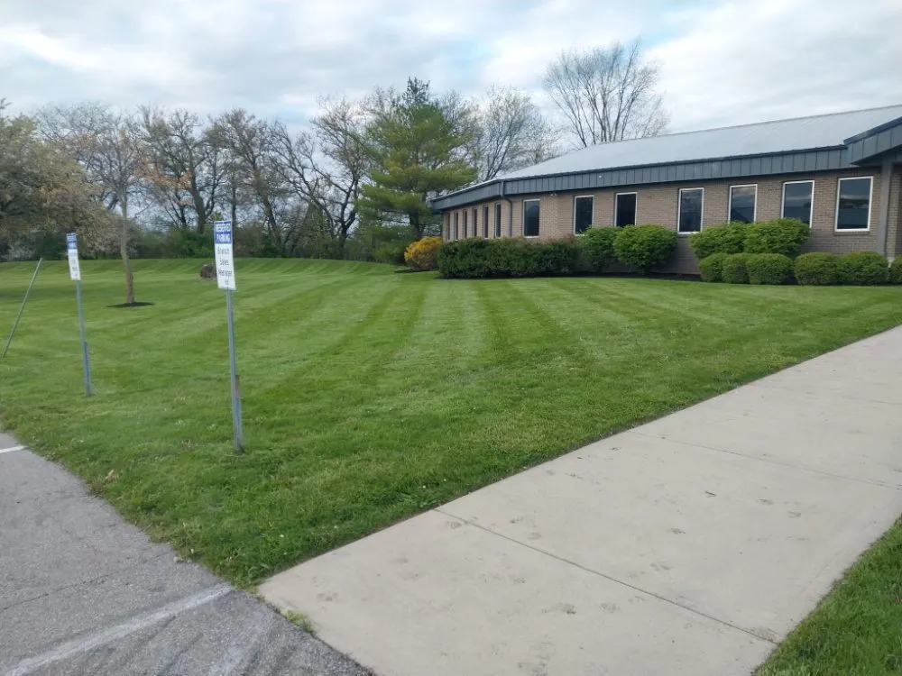 Expert landscape design in Carmel, IN - Cesar Lawn & Tree