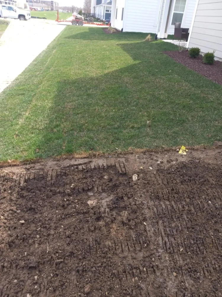 Professional yard maintenance experts serving Carmel, IN - Cesar Lawn & Tree