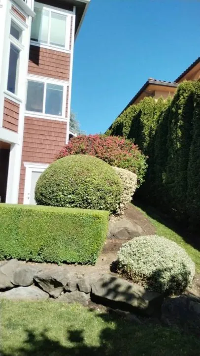 Affordable landscaping services for beautiful yards across Carmel, IN - Cesar Lawn & Tree