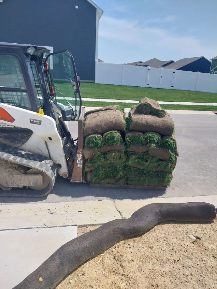 Top-rated lawn care service for year-round maintenance in Carmel, IN by Cesar Lawn & Tree