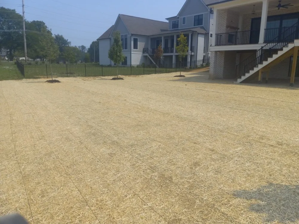 Expert lawn care service in Carmel, IN by Cesar Lawn & Tree