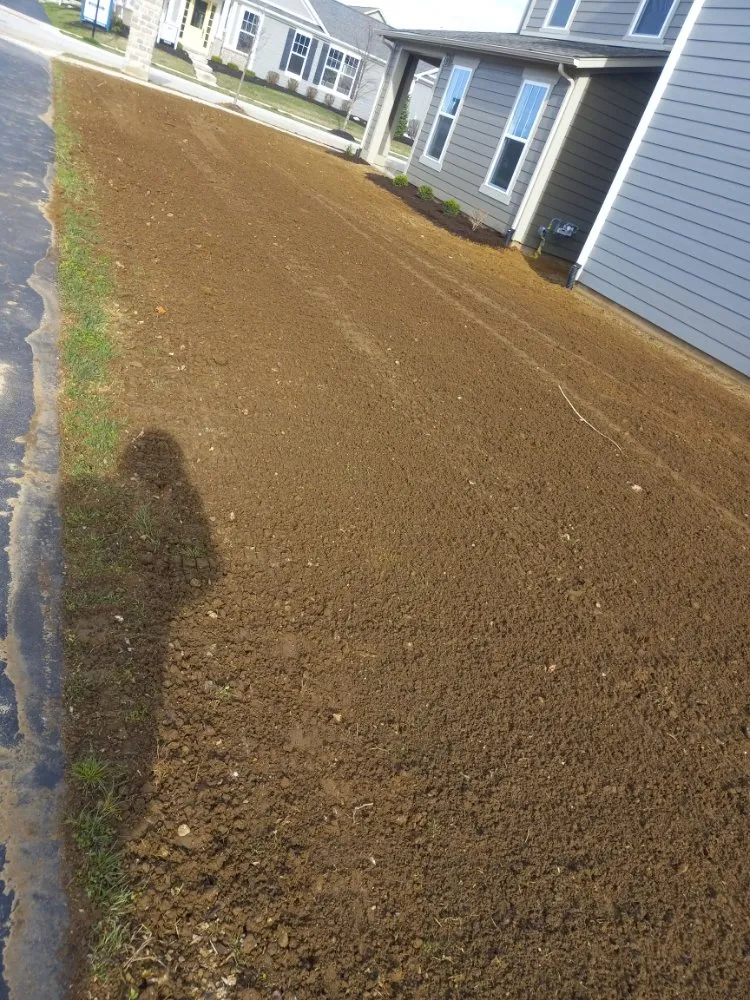 Reliable yard cleanup service in Carmel, IN - Cesar Lawn & Tree