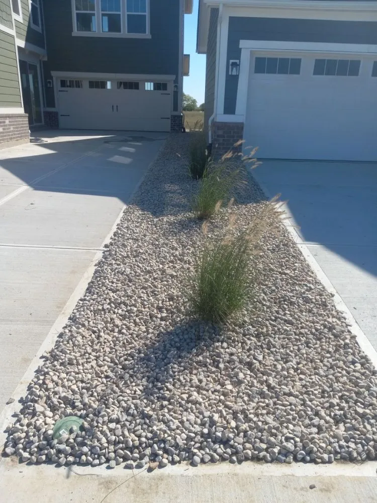 Local yard cleanup service experts serving Carmel, IN - Cesar Lawn & Tree