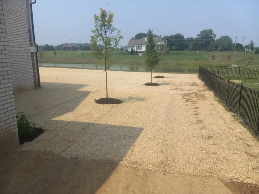 Local landscape design in Carmel, IN - Cesar Lawn & Tree