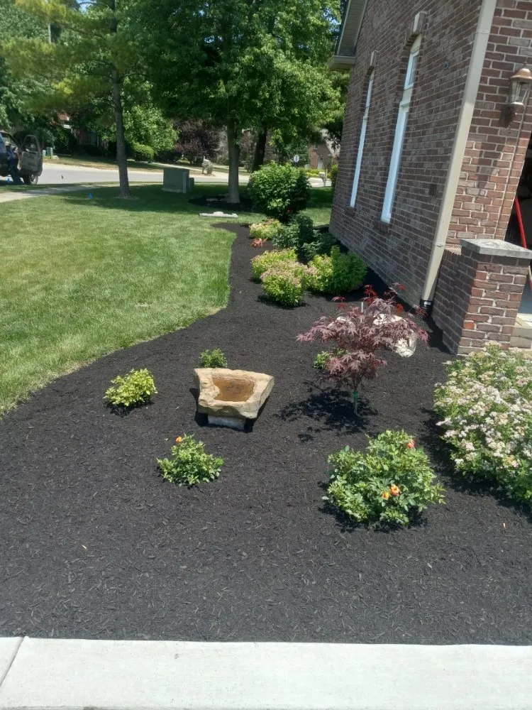 Reliable yard cleanup service in Carmel, IN - Cesar Lawn & Tree