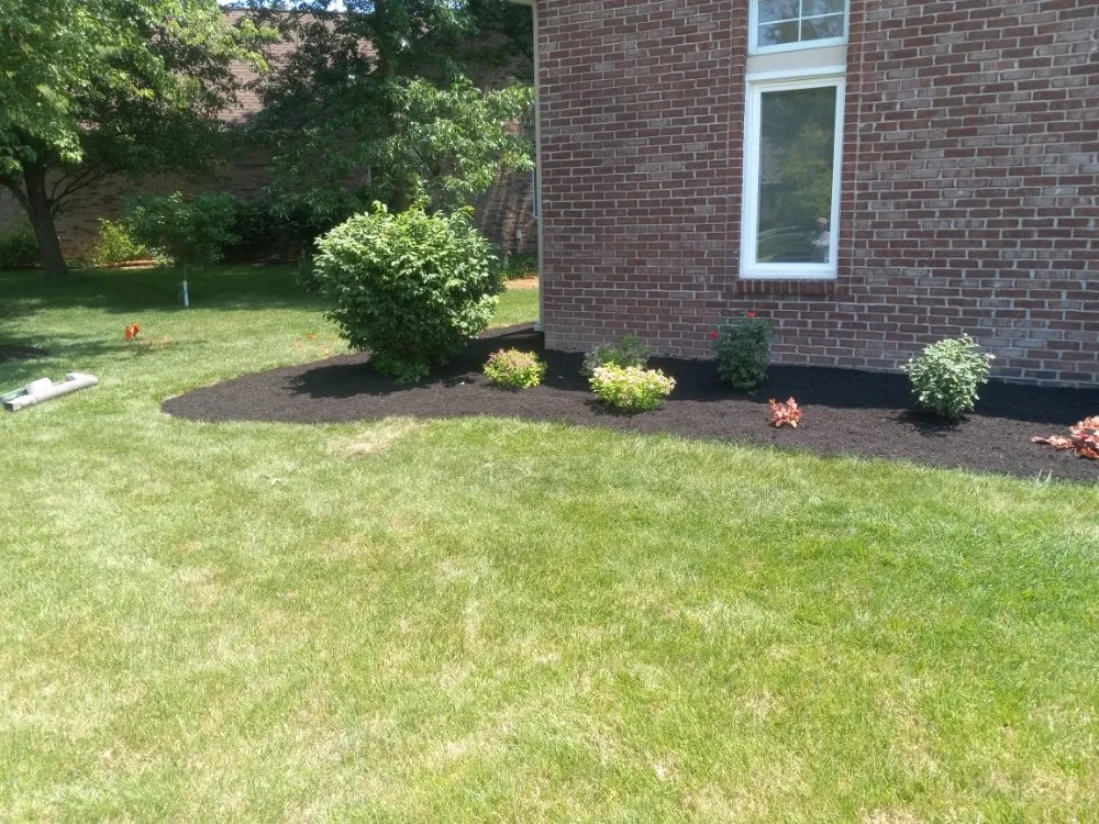 Reliable yard maintenance for year-round maintenance in Carmel, IN by Cesar Lawn & Tree