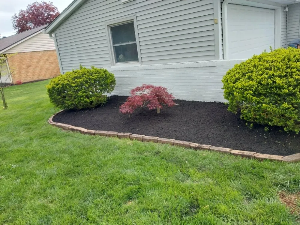 Top-rated yard maintenance for residential properties in Carmel, IN by Cesar Lawn & Tree