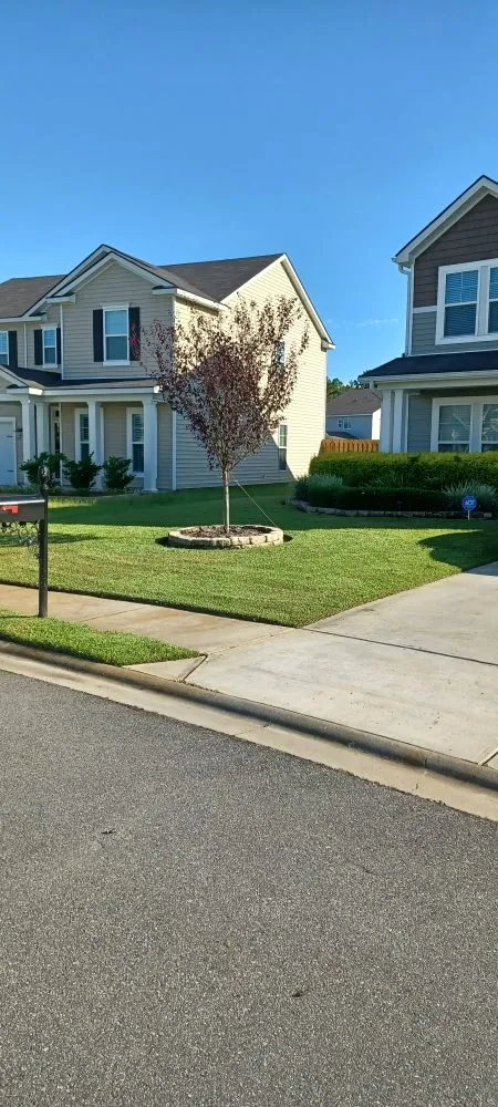 Professional outdoor landscaping in Savannah, GA by Cesar Lawn Care