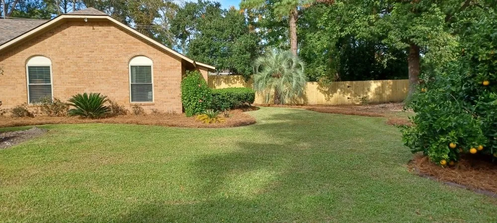 Expert outdoor landscaping in Savannah, GA - Cesar Lawn Care