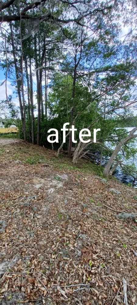 Reliable residential landscaping in Savannah, GA by Cesar Lawn Care